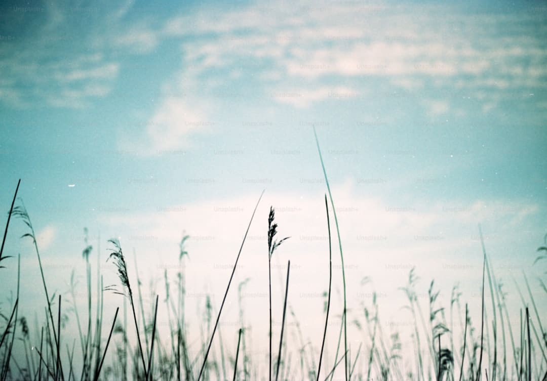 https://p1.img.cctvpic.com/photoworkspace/contentimg/2025/09/06/2025090610053811759.png